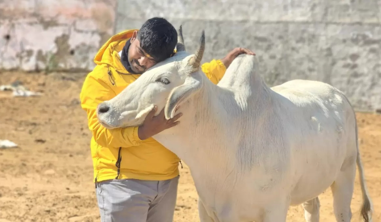 Who is Monu Manesar, Bajrang Dal's self-styled cow vigilante in Haryana - Vimarsana News